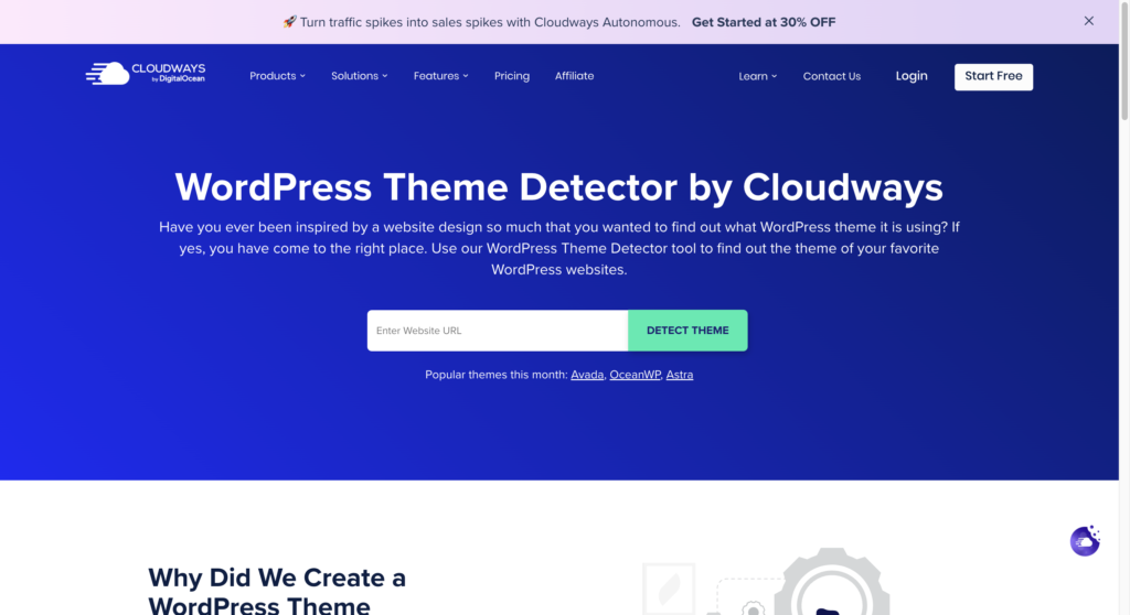 Cloudways: Best WordPress Theme Detector Tools